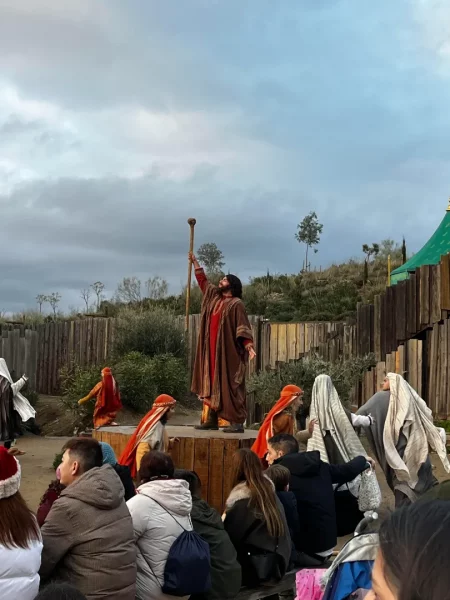 Excursión Puy Du Fou - 2025