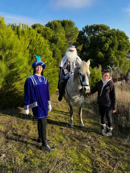 llegada Reyes Magos 25