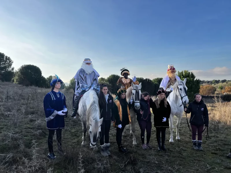 llegada Reyes Magos 25